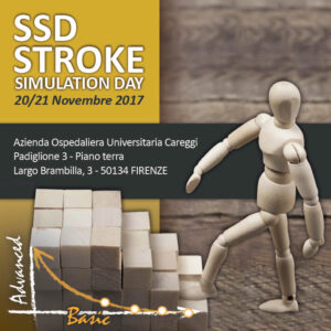 ssd-stroke-simulation-day